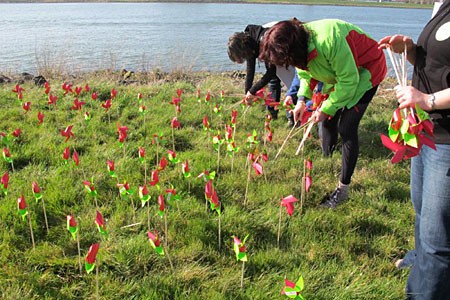 GroenLinks wil vaart met wind