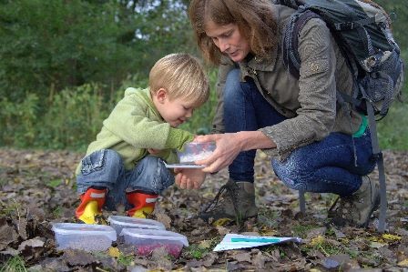 Groen doet goed laat kinderen de herfst in de Biesbosch ontdekken