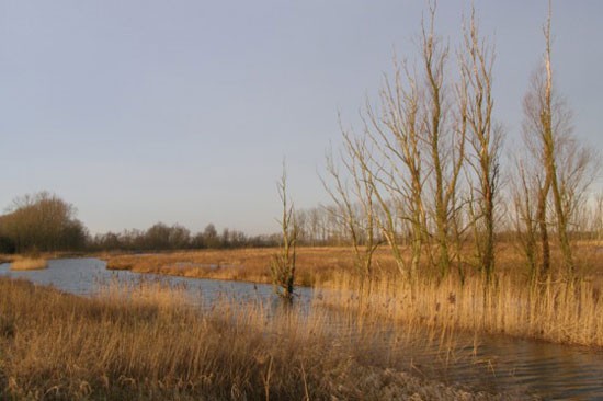 Nieuwe Dordtse Biesbosch heeft sluitende Natuurexploitatie
