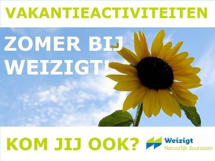 Vakantieactiviteit Weizigt: Steengoed!