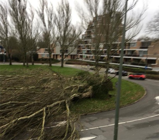 Zwaarste storm sinds tijden raast over Dordrecht