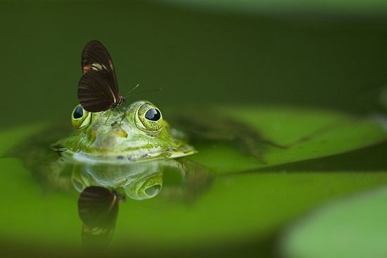 Lezing 'Meebewegen met de natuur'