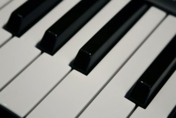 Zomerconcerten Dordrecht - De Waaltjes