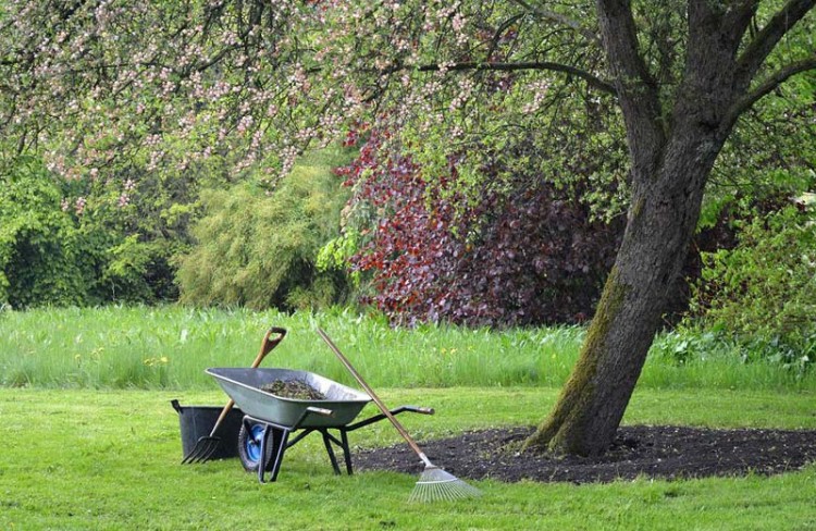 Hovenierscafé over tuin en klimaat