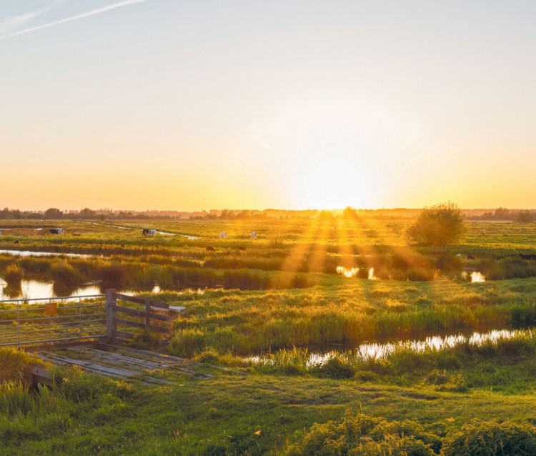 Zomerkrant boordevol natuurinspiratie